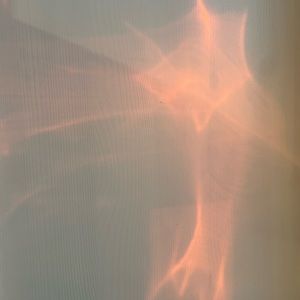 Meet your Posher, Madeleine